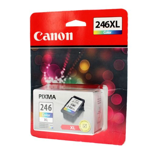 Picture of Canon 8280B001AA (CL-246XL) High Yield Black Inkjet Cartridge (300 Yield)